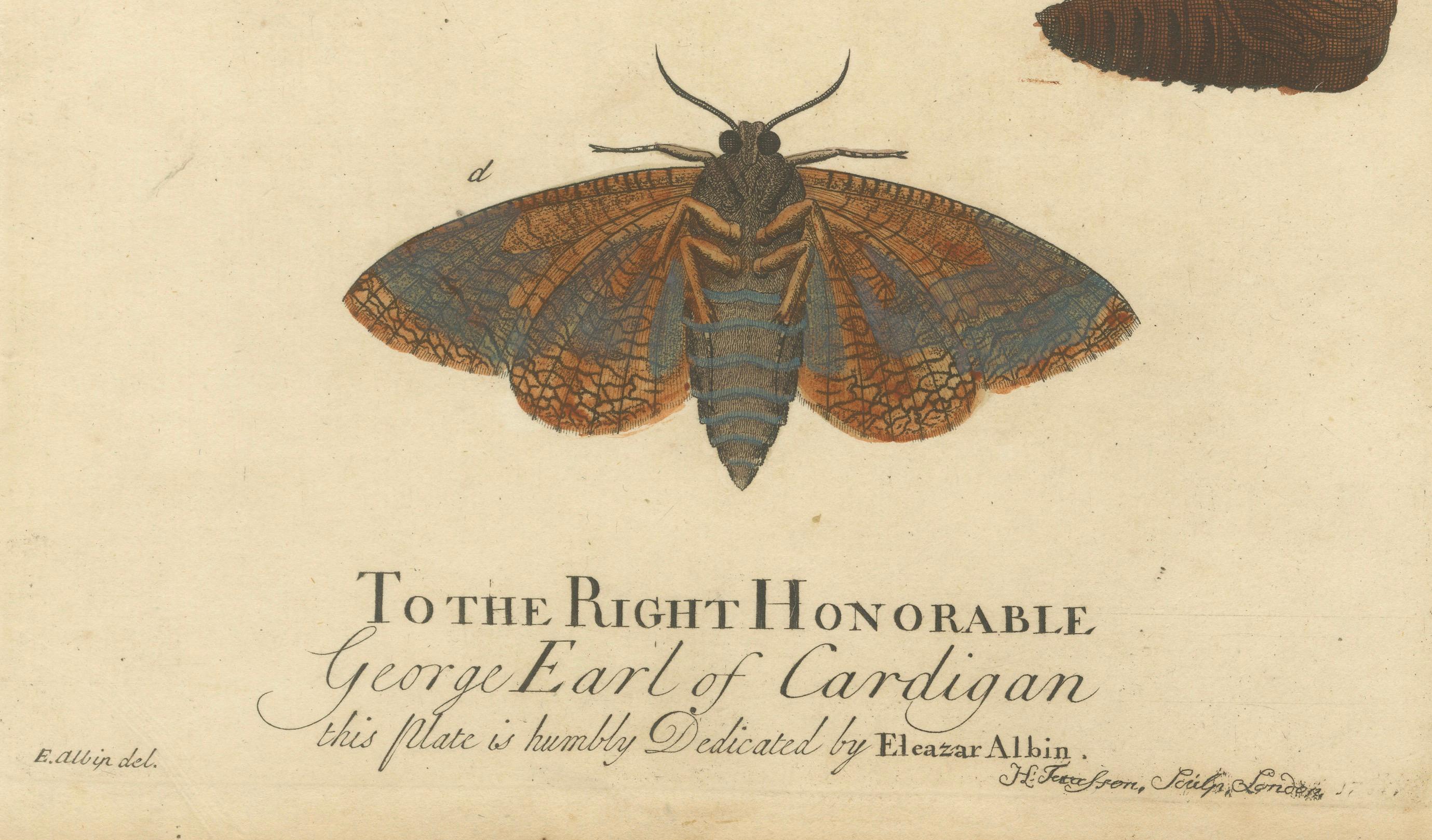 Engraved Moth Metamorphosis Dedicated to Earl of Cardigan, 1724 For Sale