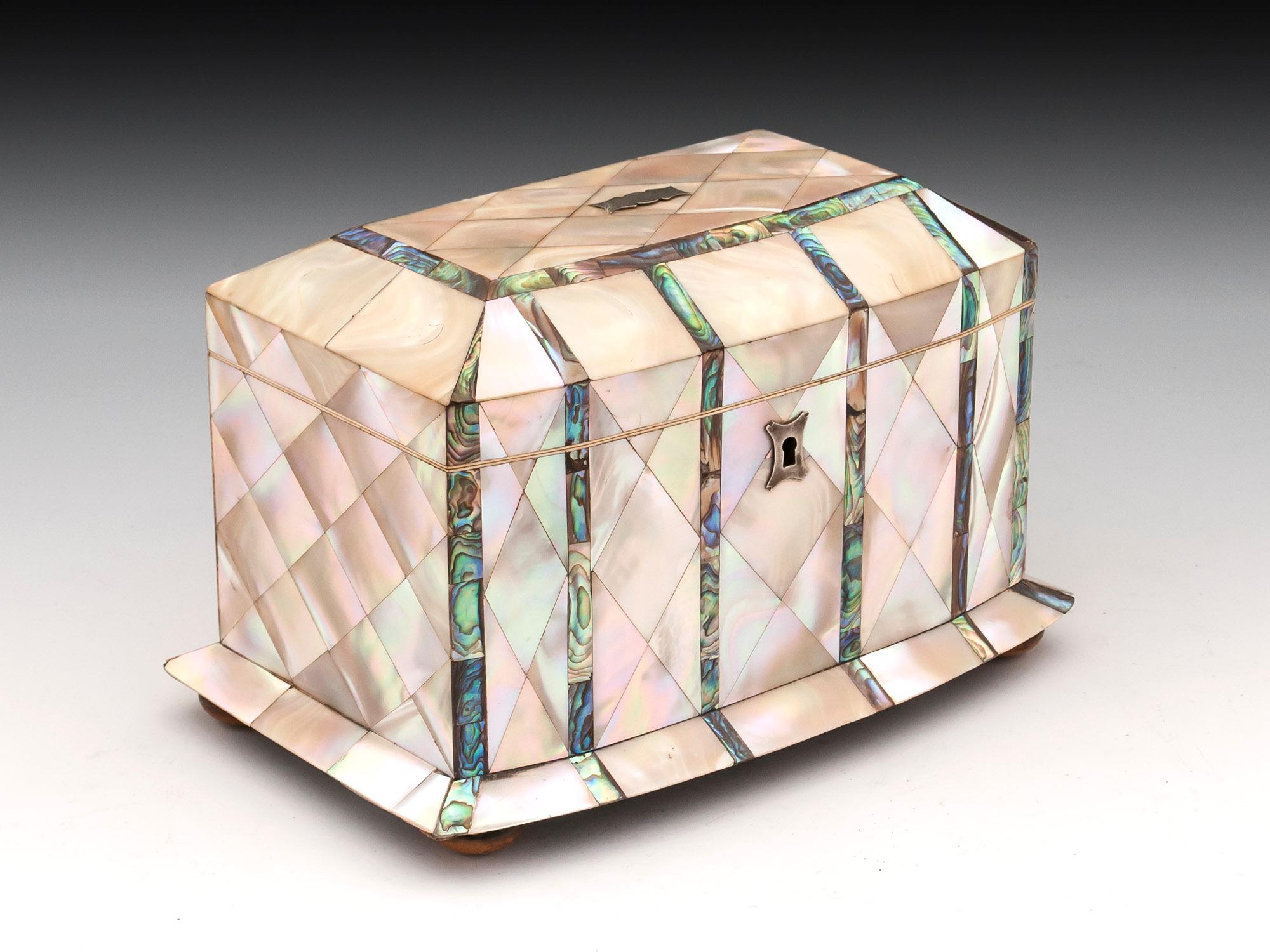 British Mother-of-Pearl and Abalone Tea Caddy 19th Century