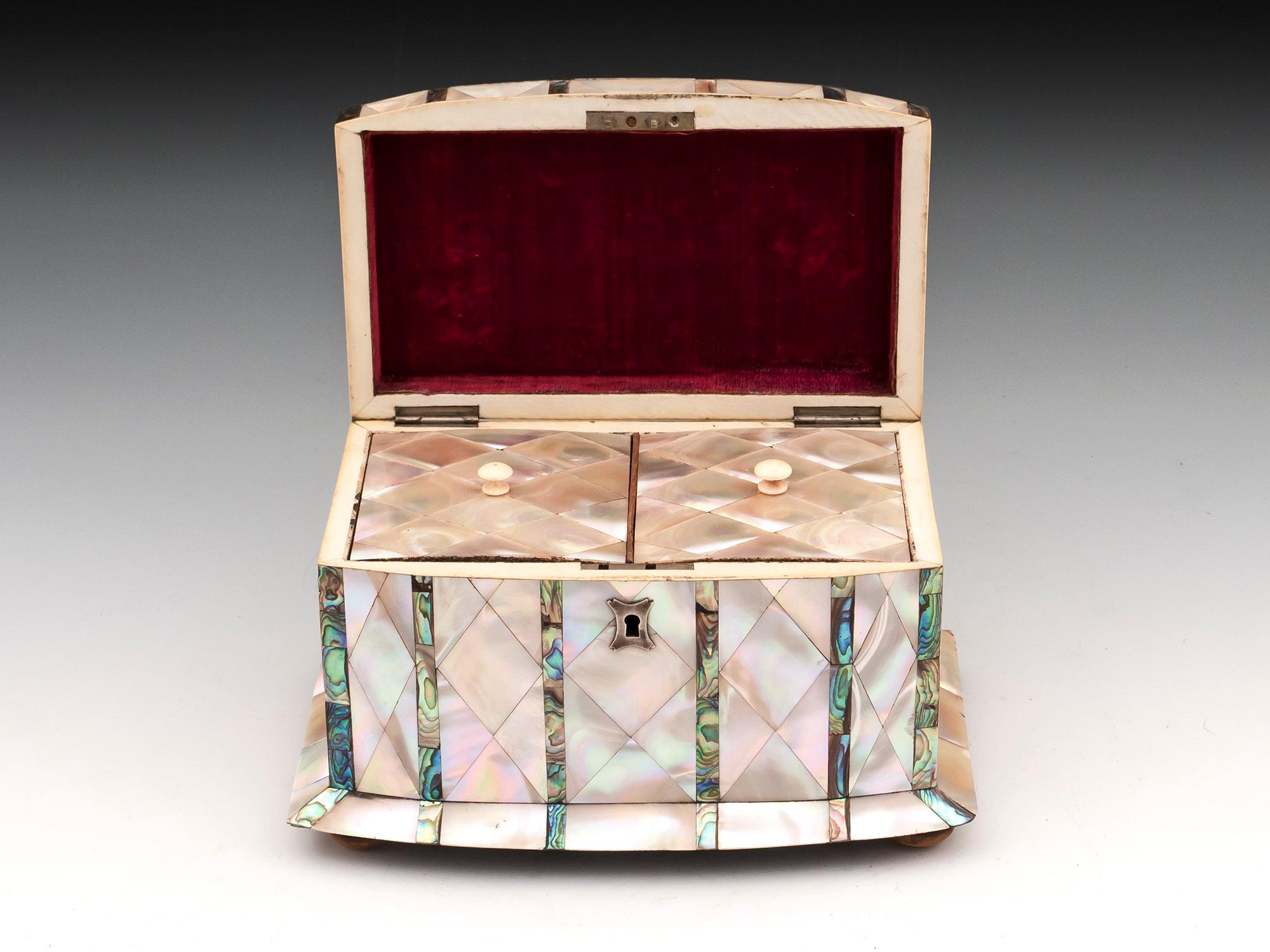 Silver Mother-of-Pearl and Abalone Tea Caddy 19th Century