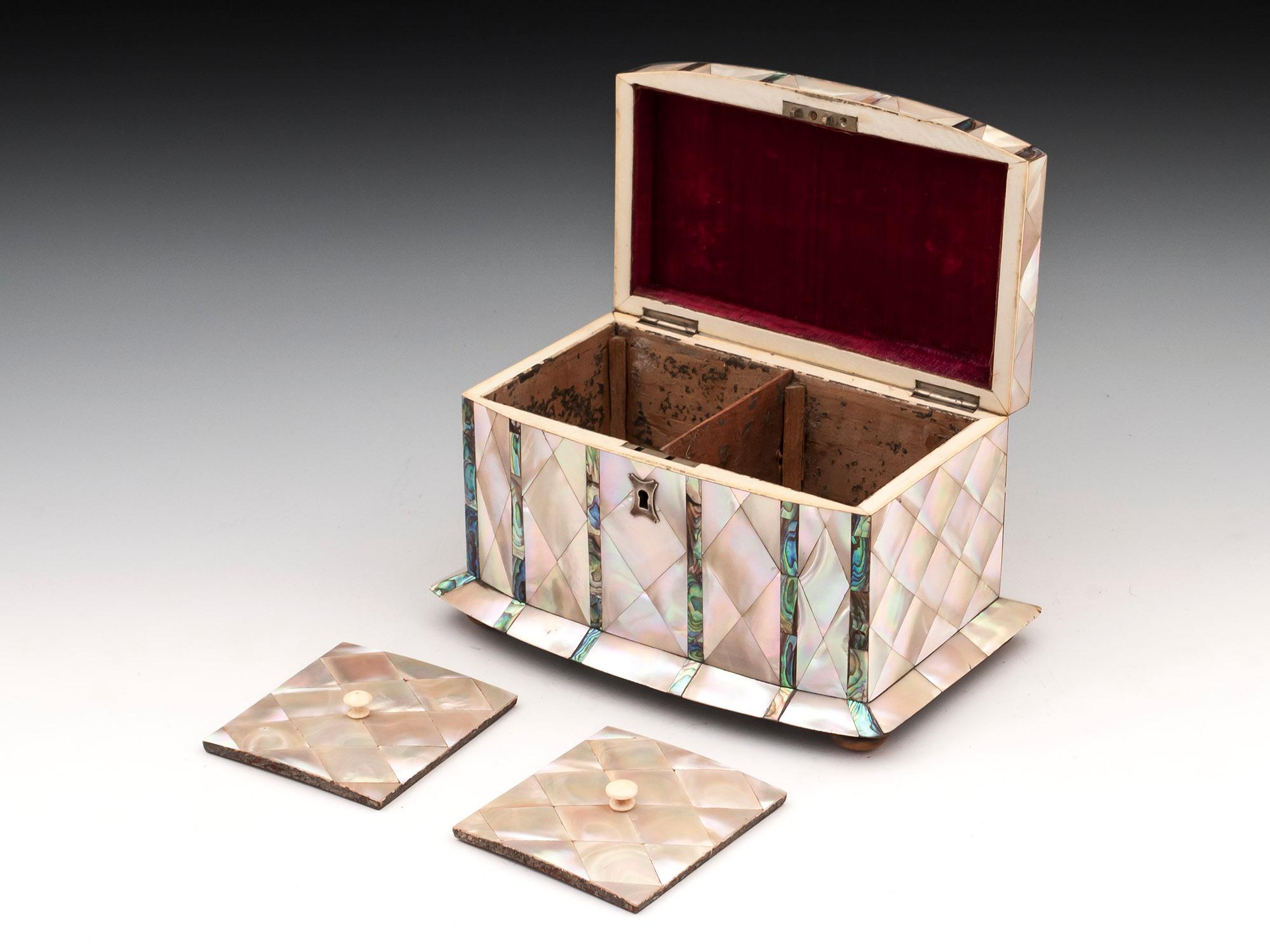 Mother-of-Pearl and Abalone Tea Caddy 19th Century 1