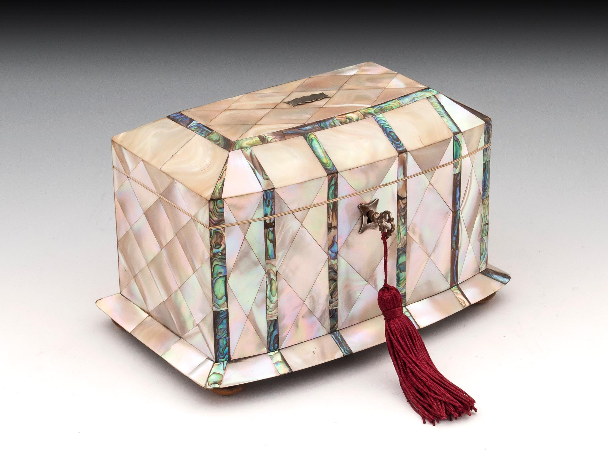 Mother-of-Pearl and Abalone Tea Caddy 19th Century 2