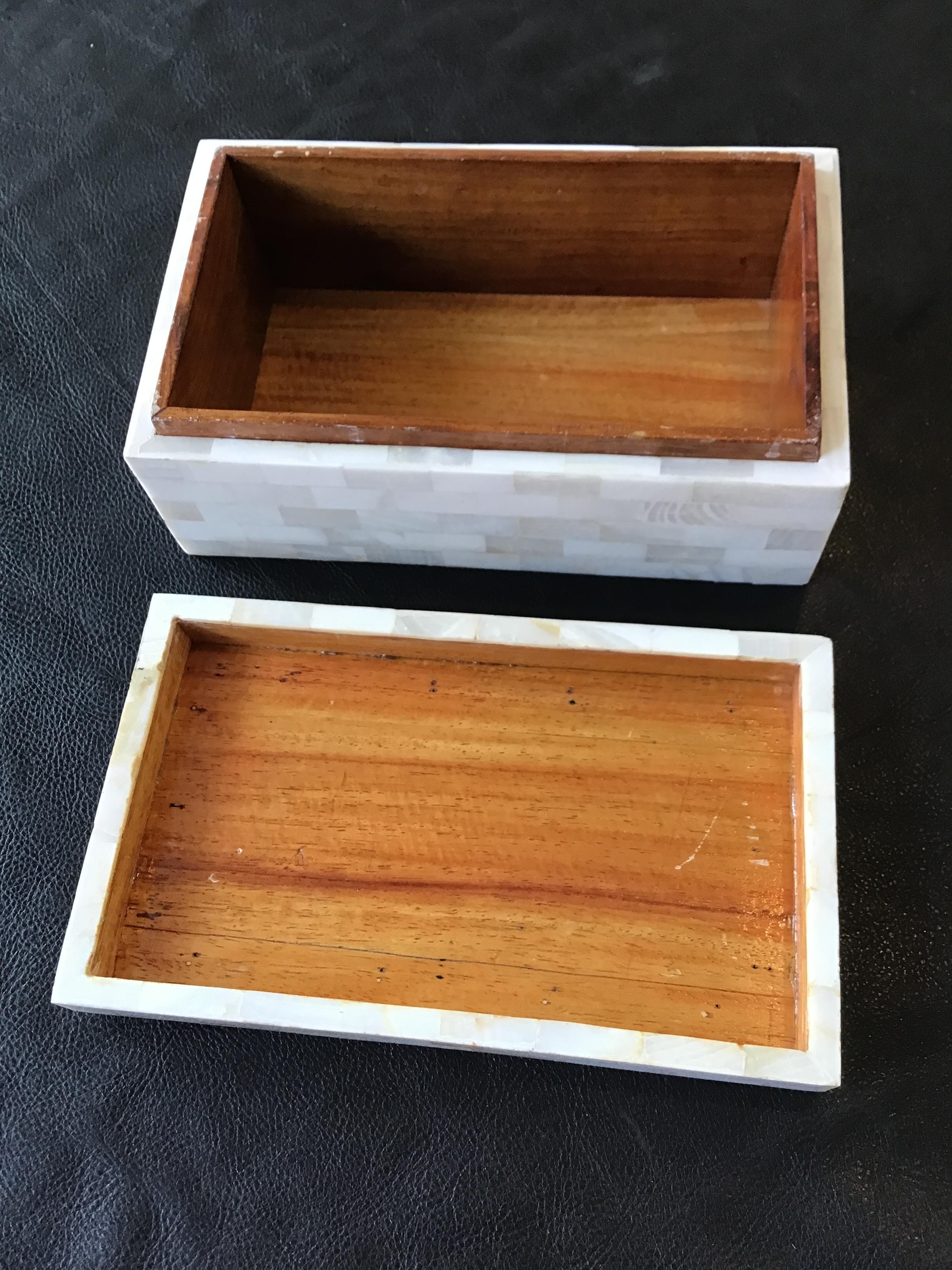 Mother of Pearl and Bone Box For Sale 4