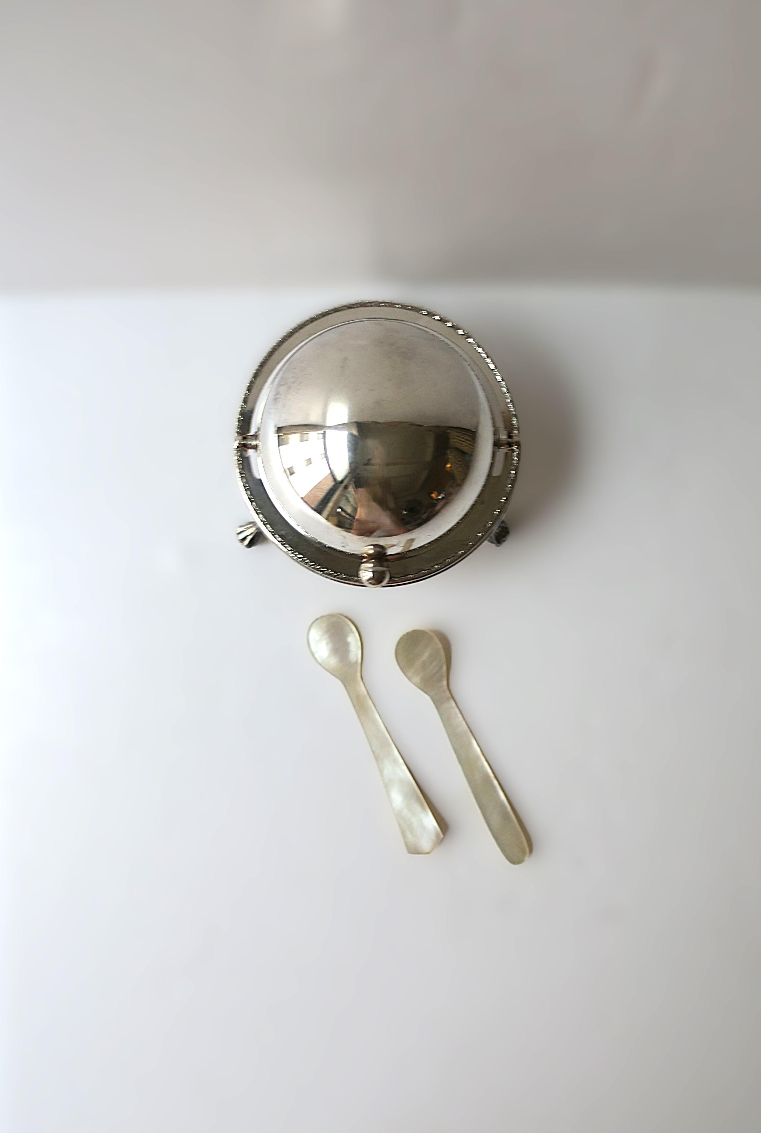 Organic Modern Mother of Pearl Caviar Spoons, Set of 2 For Sale