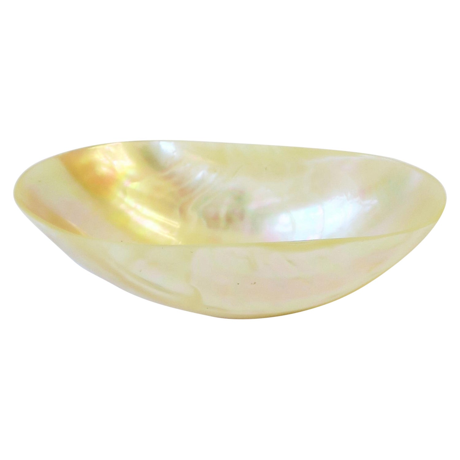 12 PCS GOLDEN POLISHED MOTHER OF PEARL SEA SHELL CAVIAR SERVING #7055 