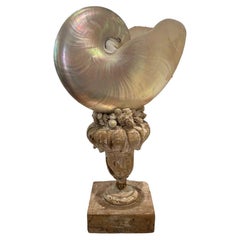 Mother of Pearl Nautilus on Antique Fragment Stand