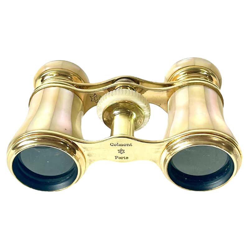 French Mother of Pearl Opera Glasses by LeMaire, Paris For Sale at ...