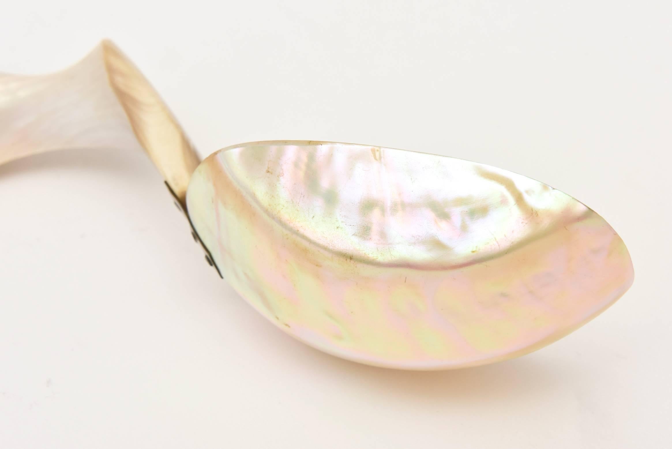 Organic Modern Mother of Pearl Organic Sculptural Serving Spoon For Sale