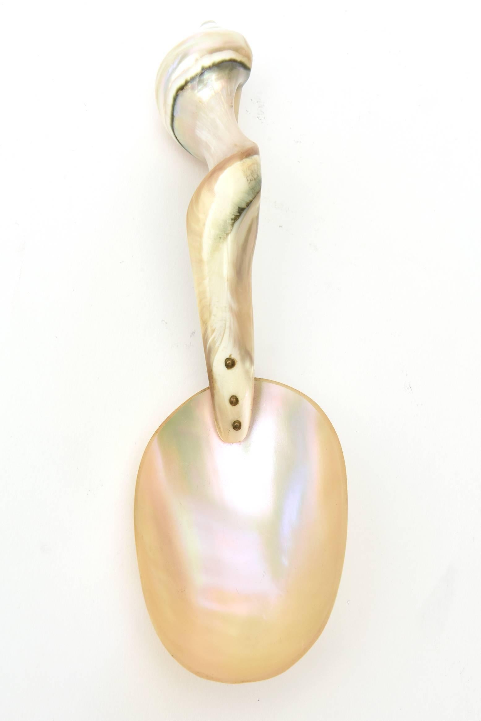 American Mother of Pearl Organic Sculptural Serving Spoon For Sale