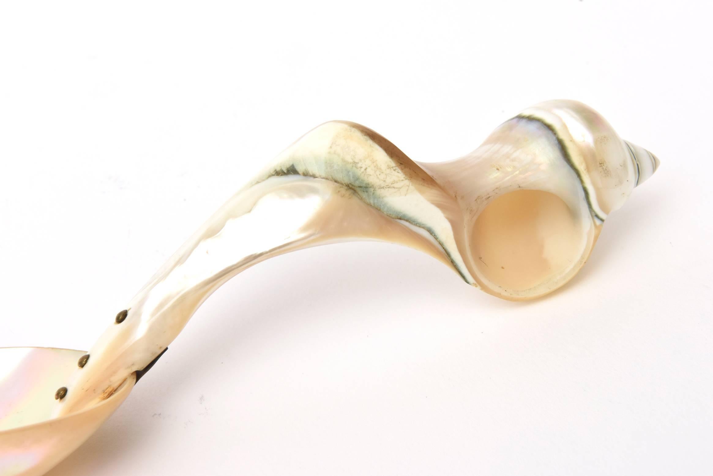 Mother of Pearl Organic Sculptural Serving Spoon In Good Condition For Sale In North Miami, FL
