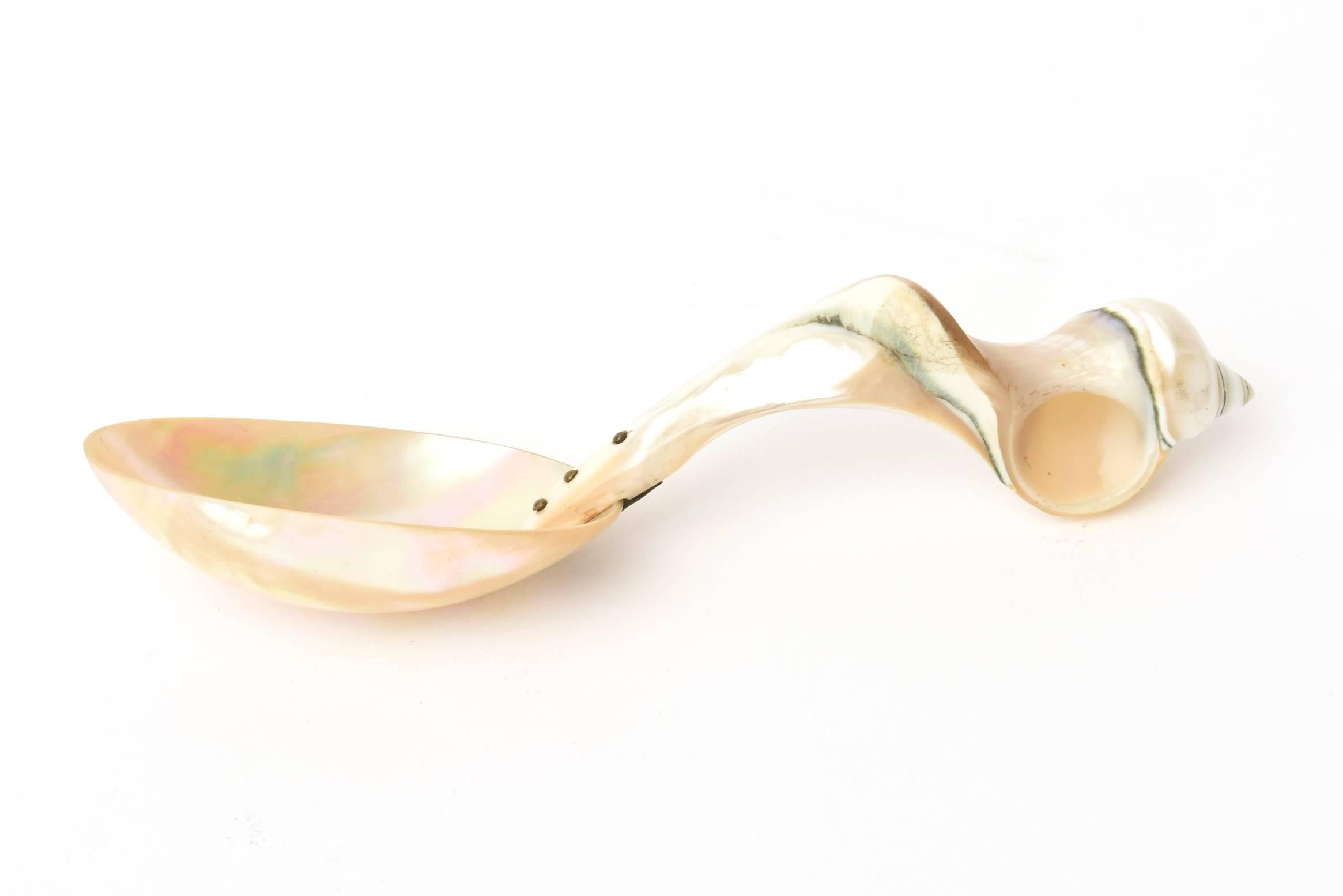Late 20th Century Mother of Pearl Organic Sculptural Serving Spoon For Sale