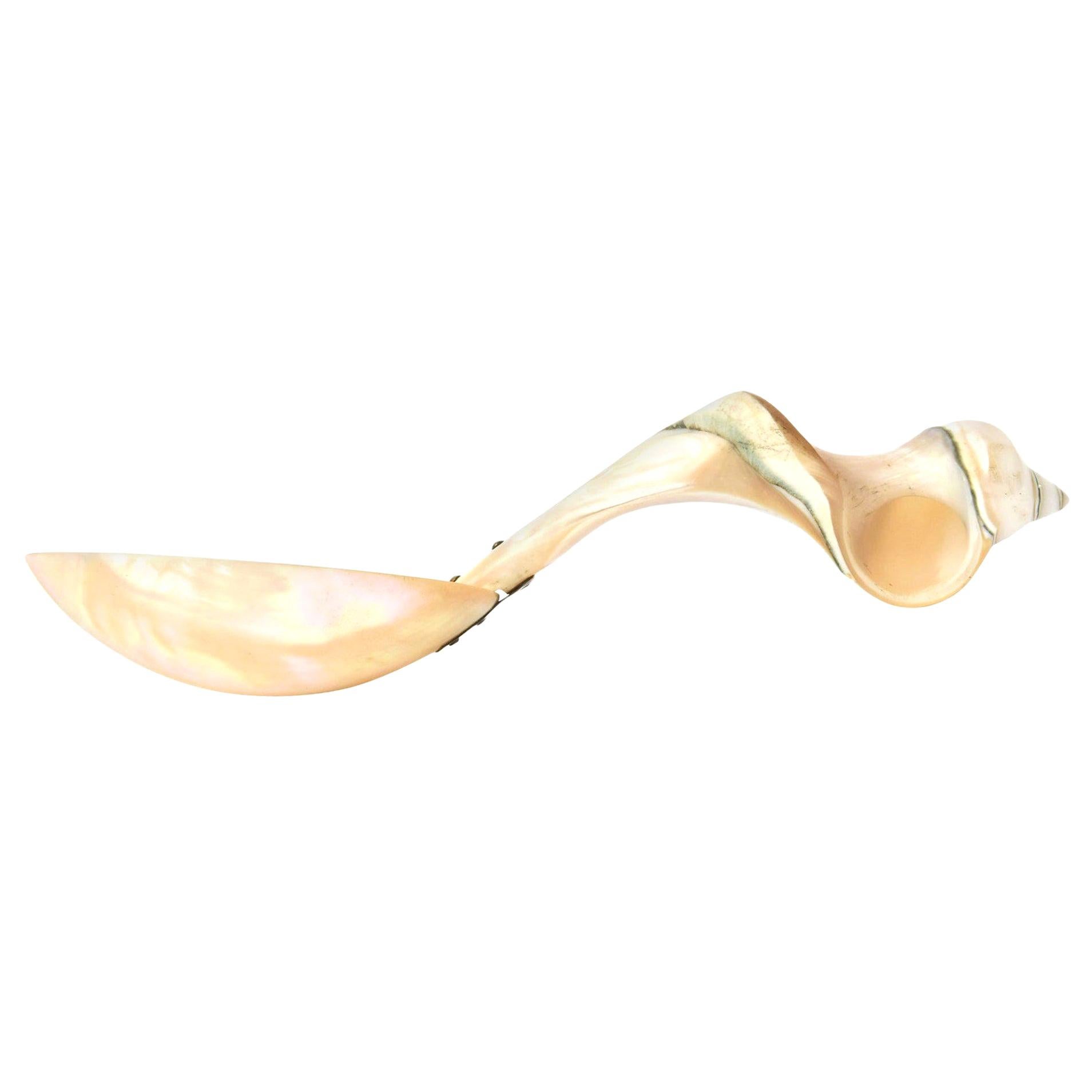 Mother of Pearl Organic Sculptural Serving Spoon For Sale