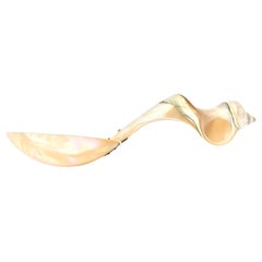 Mother of Pearl Organic Sculptural Serving Spoon