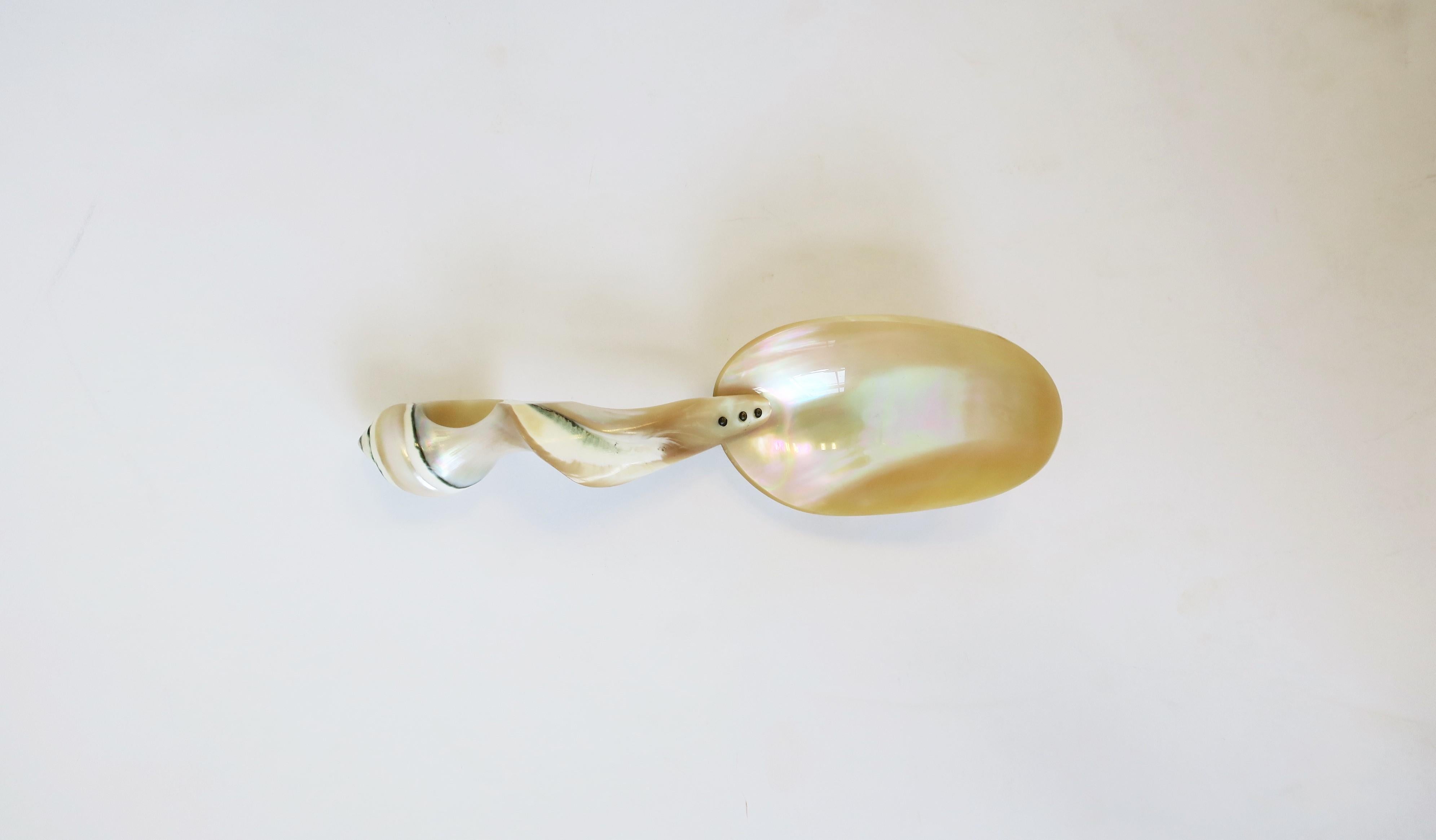 Mother of Pearl Seashell Spoon or Caviar Vessel For Sale 1