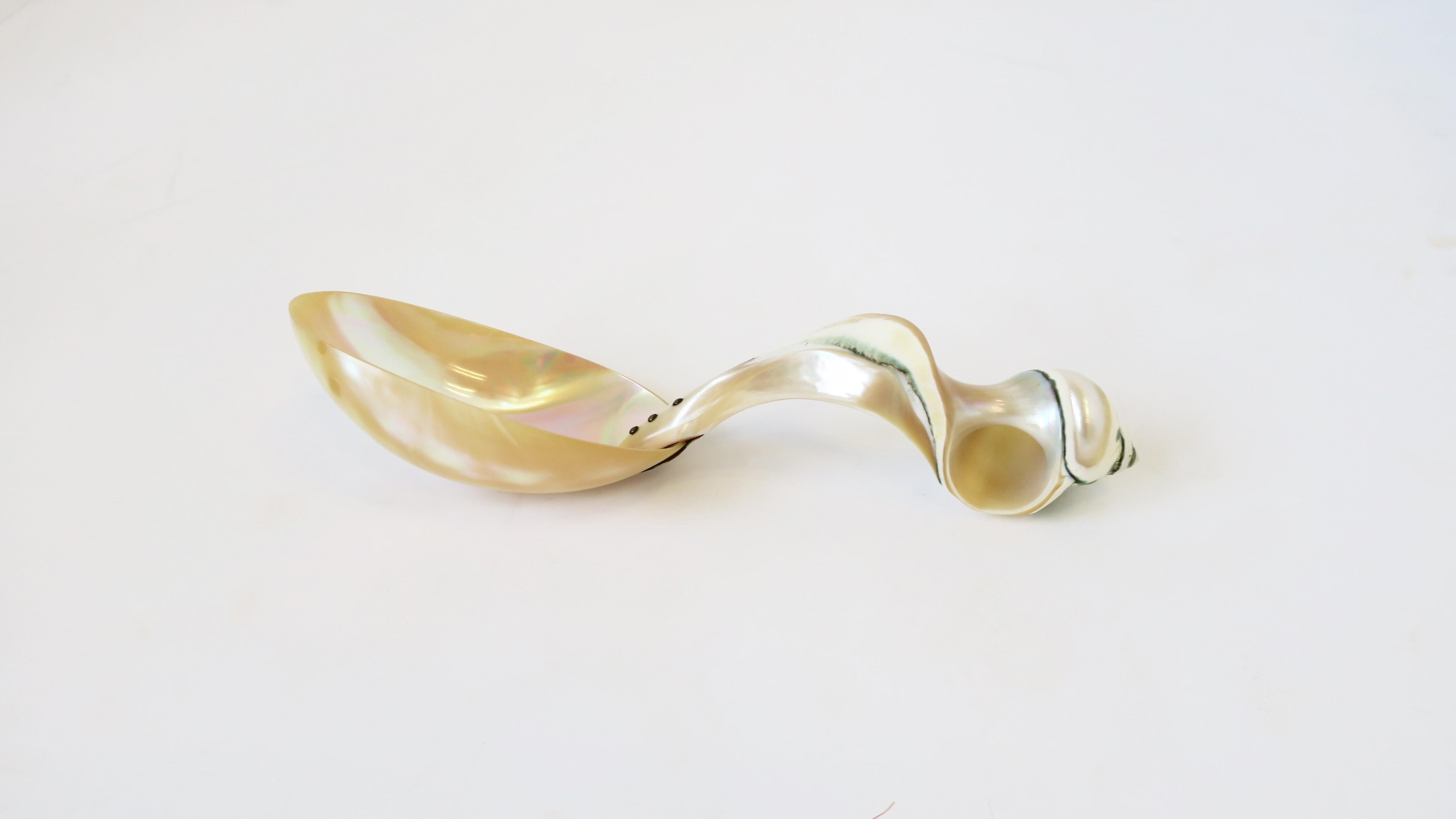 Mother of Pearl Seashell Spoon or Caviar Vessel For Sale 2