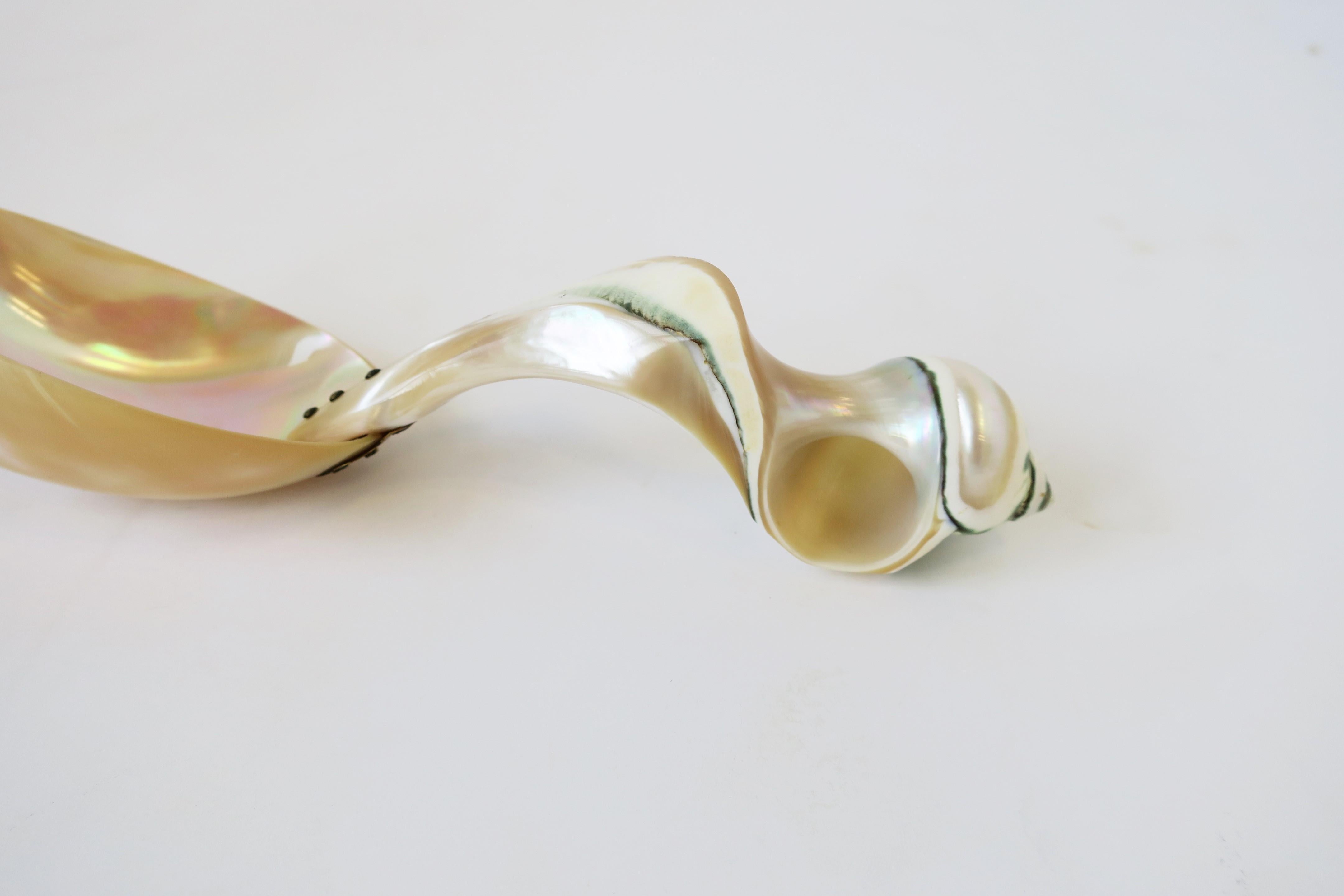 Mother of Pearl Seashell Spoon or Caviar Vessel For Sale 3