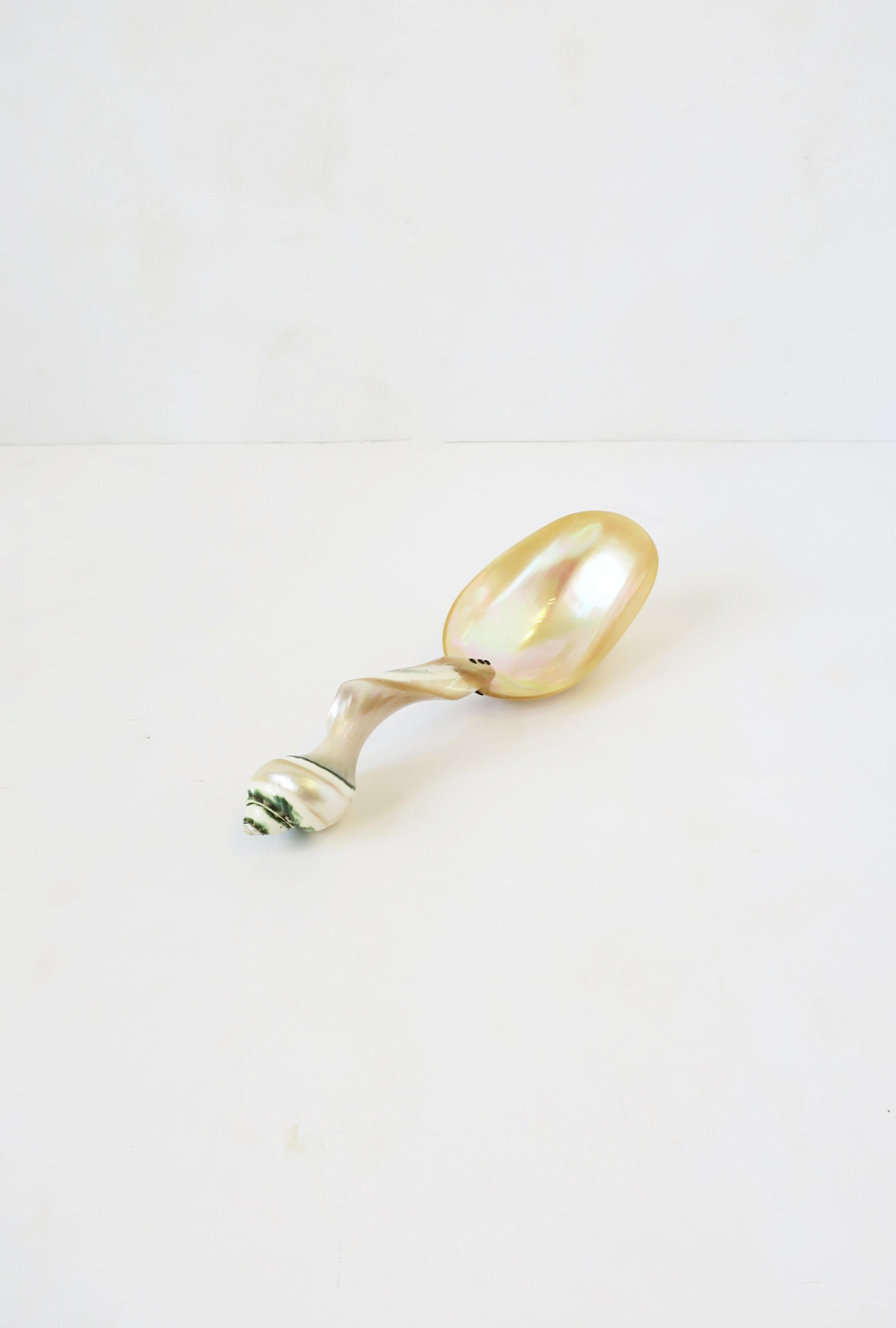 shell pearl spoon