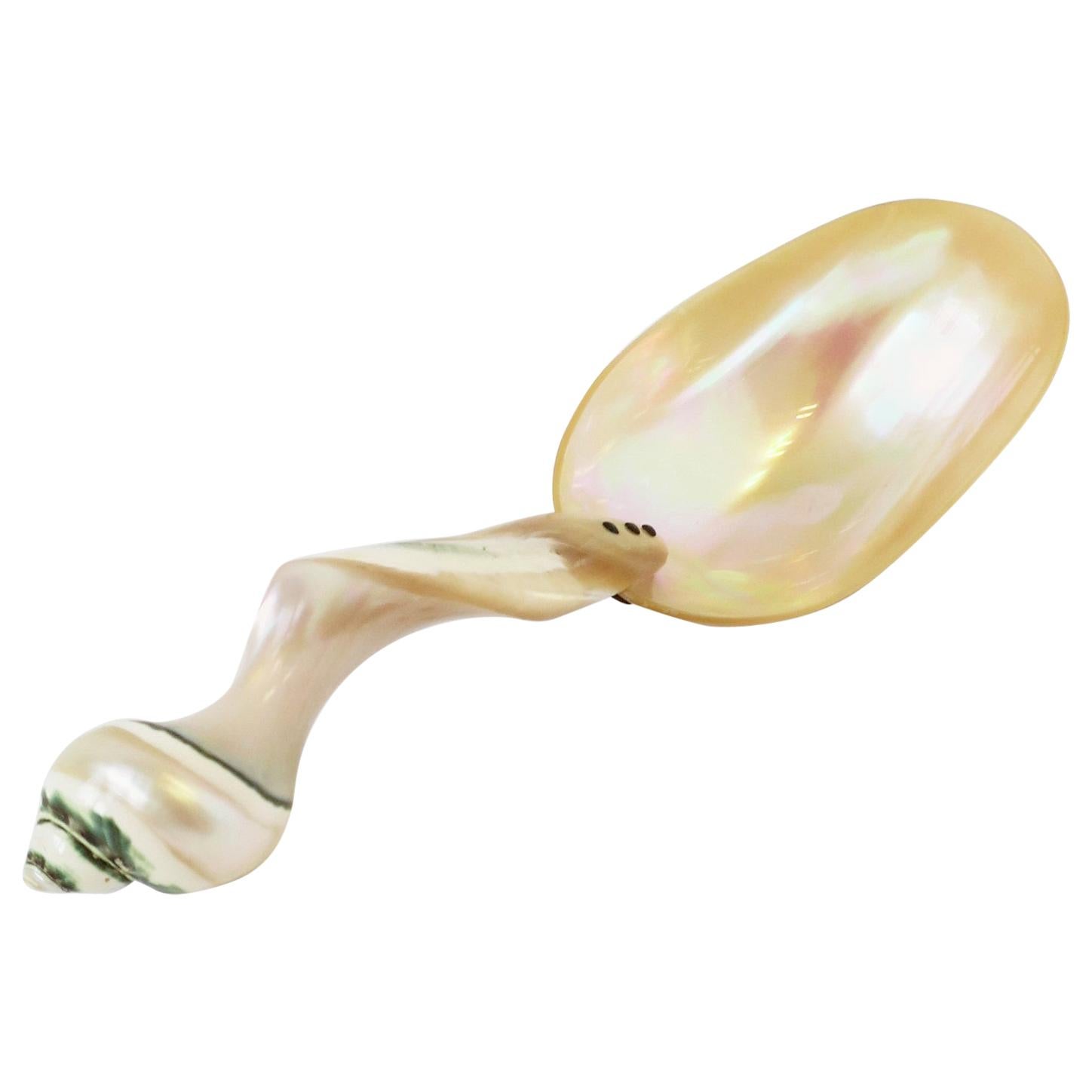 Mother of Pearl Seashell Spoon or Caviar Vessel For Sale