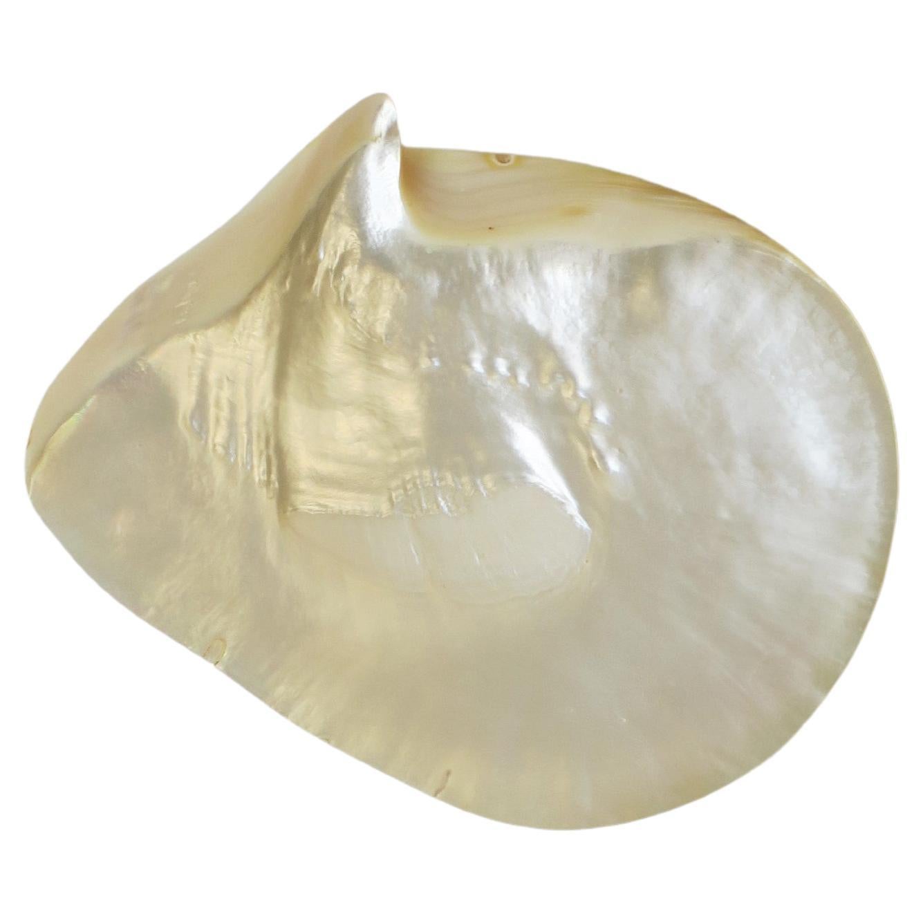 What are mother of pearl spoons made of?