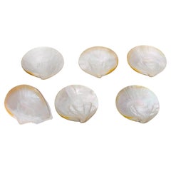 Concha de Nácar (Caviar) Platos