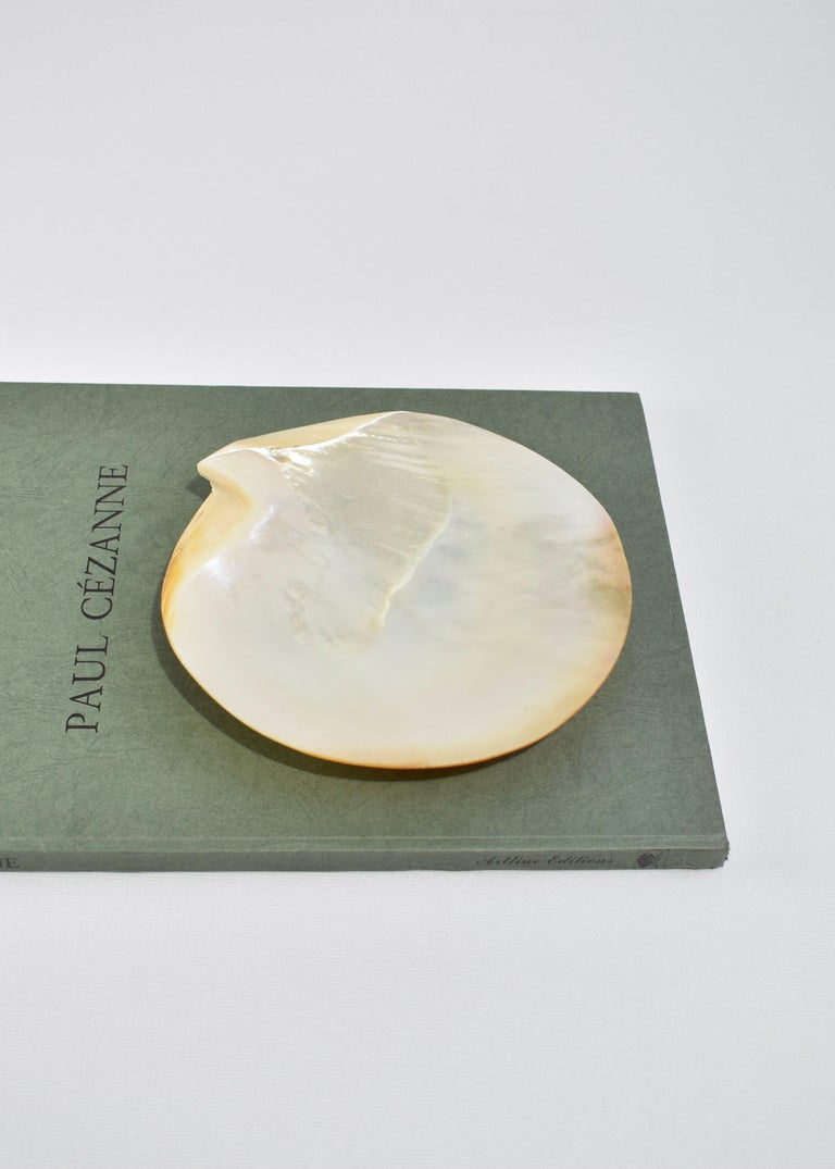 Mother of Pearl Shell Plate In Good Condition For Sale In Richmond, VA