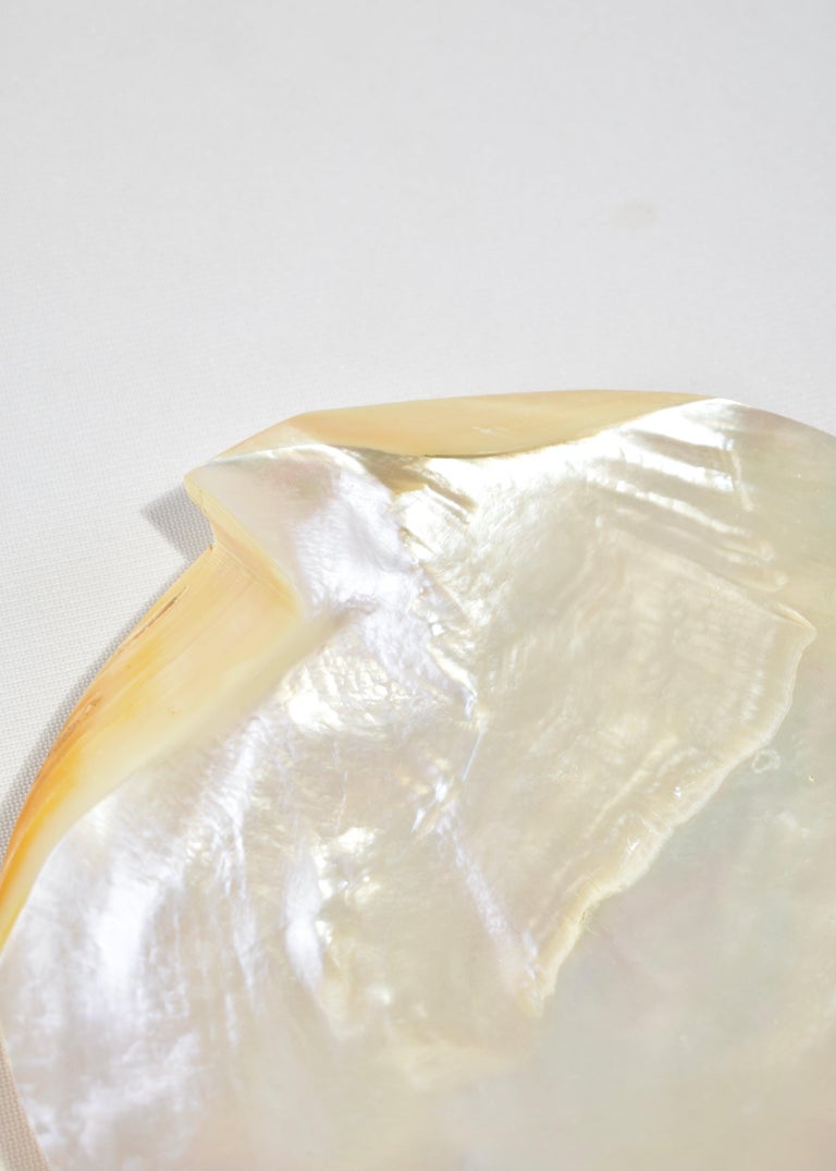 Mother-of-Pearl Mother of Pearl Shell Plate For Sale