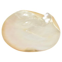 Used Mother of Pearl Shell Plate