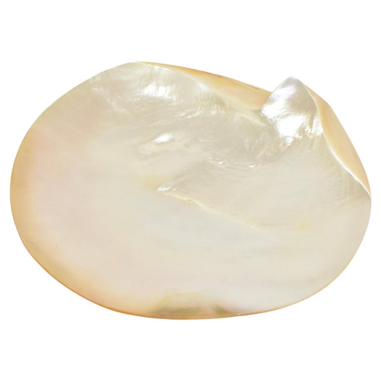 Mother of Pearl Shell Plate For Sale