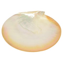 Used Mother of Pearl Shell Plate
