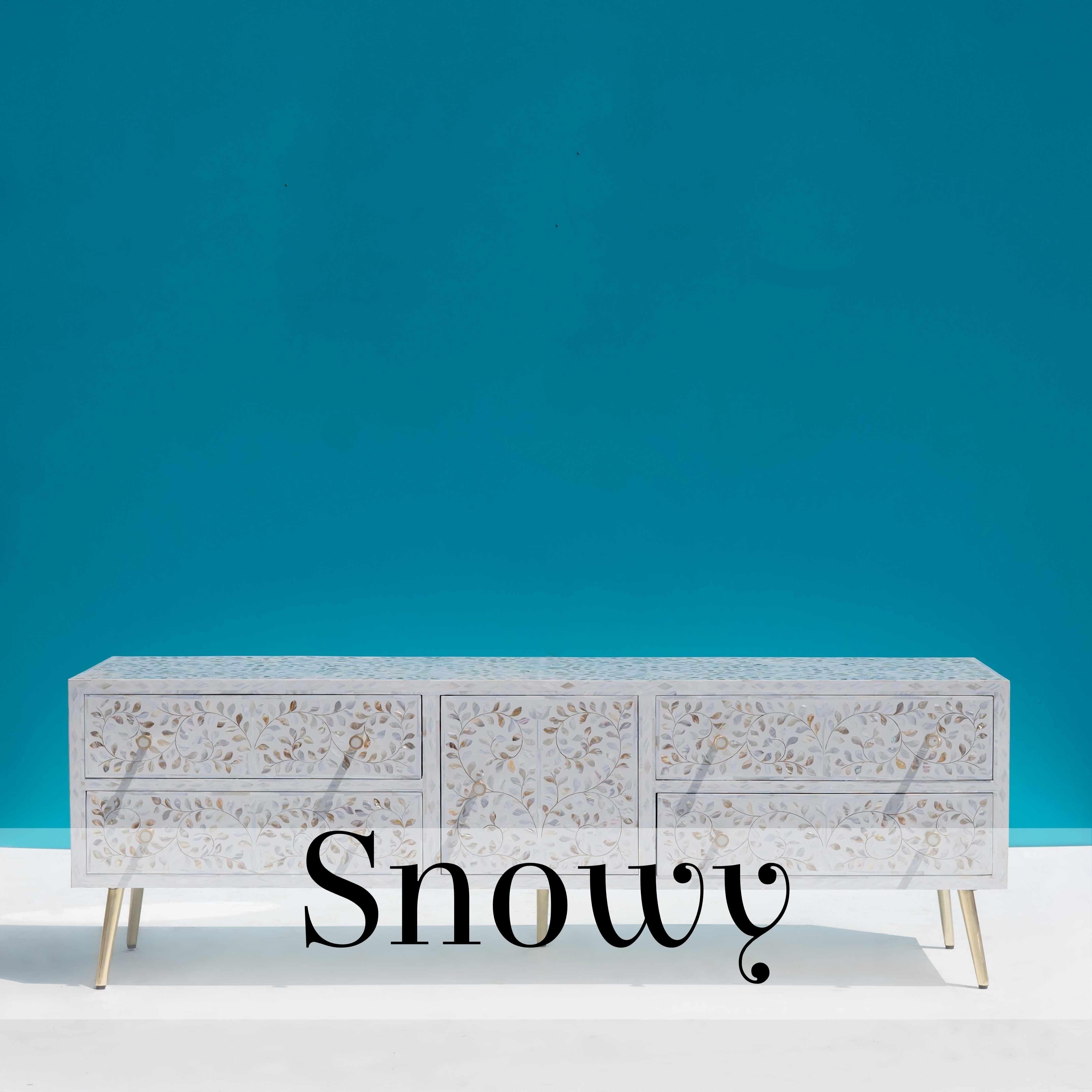 Un armario multimedia de nácar blanco es un verdadero espectáculo para la vista. Su brillo natural y sus intrincados detalles de nácar dicen mucho del lujo y la artesanía que se emplearon en su creación. Este armario no es sólo un mueble; es una