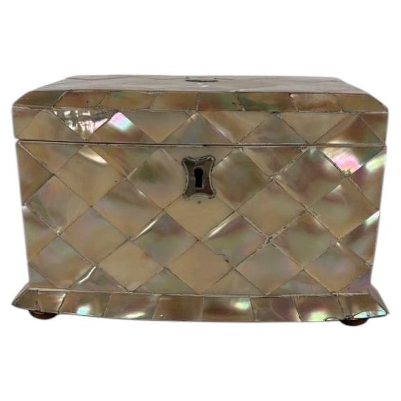 Mother of Pearl Tea Caddy English Circa 1870