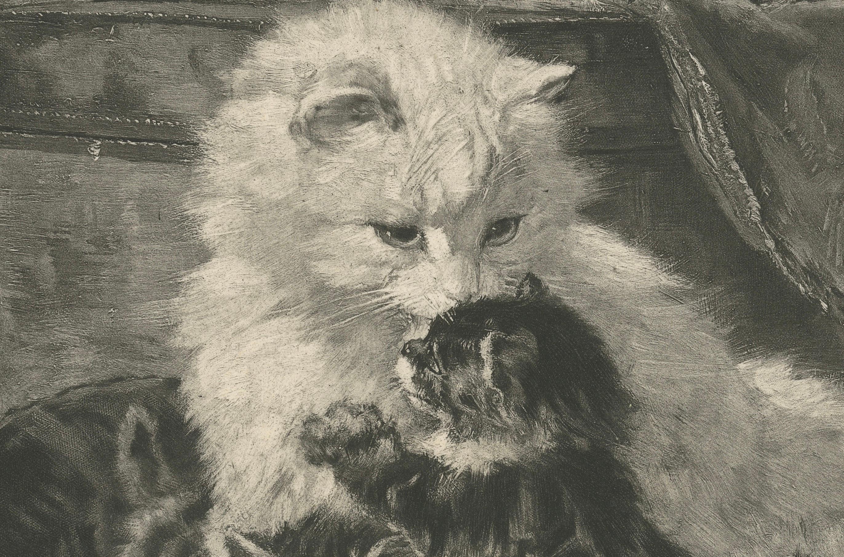 Late 19th Century 