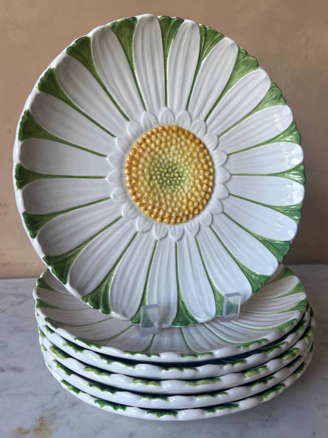 Autre Assiettes marguerite italiennes Mottahedeh, lot de 6, vers les années 1960 en vente