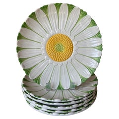Mottahedeh Italian Daisy Plates, Set of 6, C. 1960's