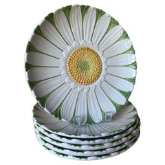 Mottahedeh Italian Daisy Plates, Set of 6, C. 1960's