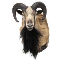 Altri mobili e oggetti da collezione