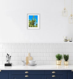 Contemporary fine art photograph of nature on premium matte paper "Lemons Joy"