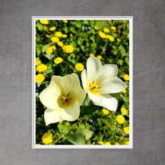 Contemporary Fine art photography floral premium matte paper "Spring harmony"