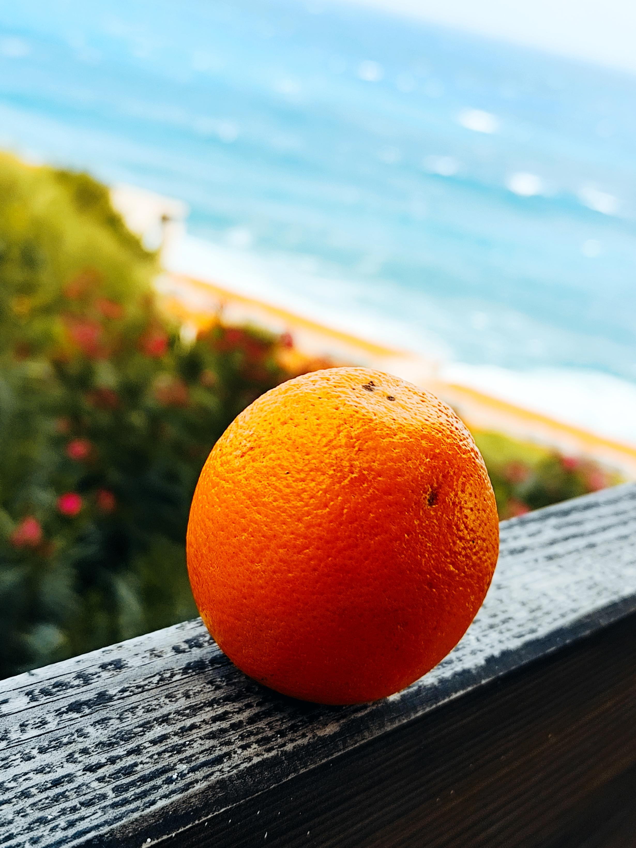 Still-Life Photograph de Mougenot Natalya - Bodegón minimalista contemporáneo de frutas (fotografía)  "Sólo una naranja"