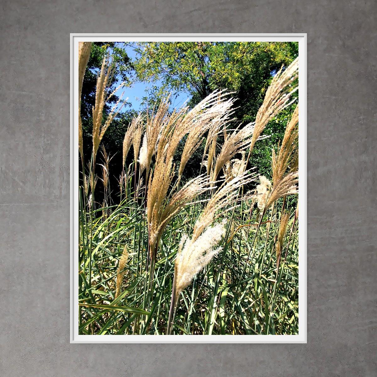Contemporary Minimalist Summer Landscape Photography Photo 
