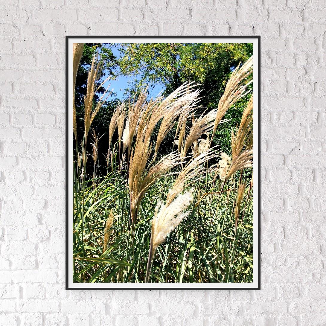 Contemporary Minimalist Summer Landscape Photography Photo 
