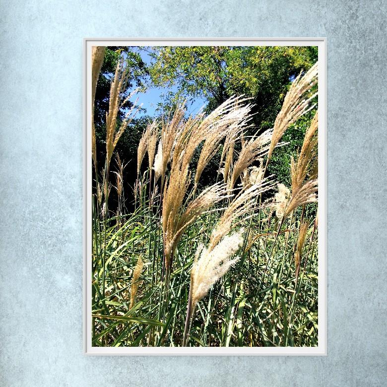 Contemporary Minimalist Summer Landscape Photography Photo 
