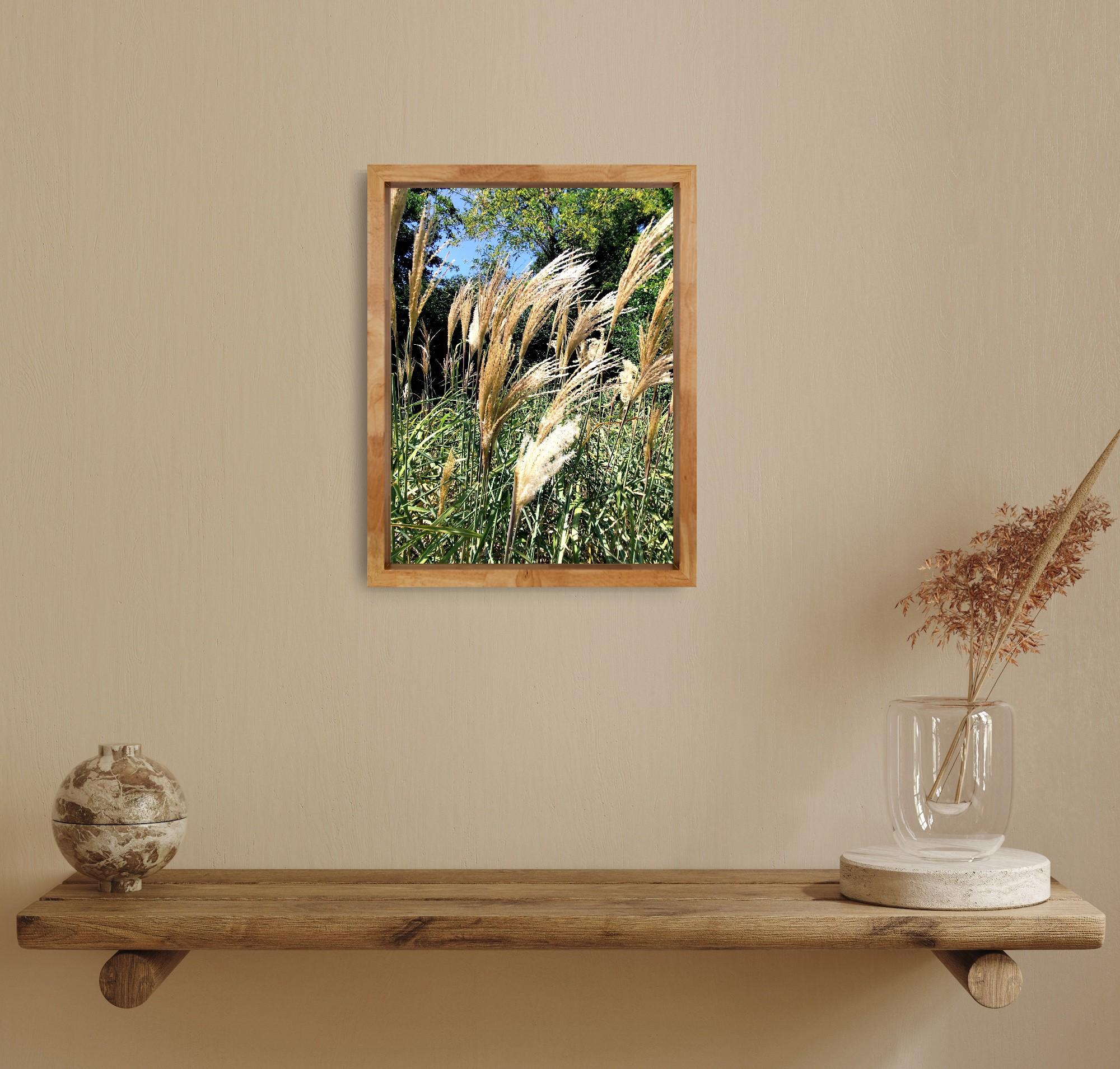 This contemporary serene nature photograph 