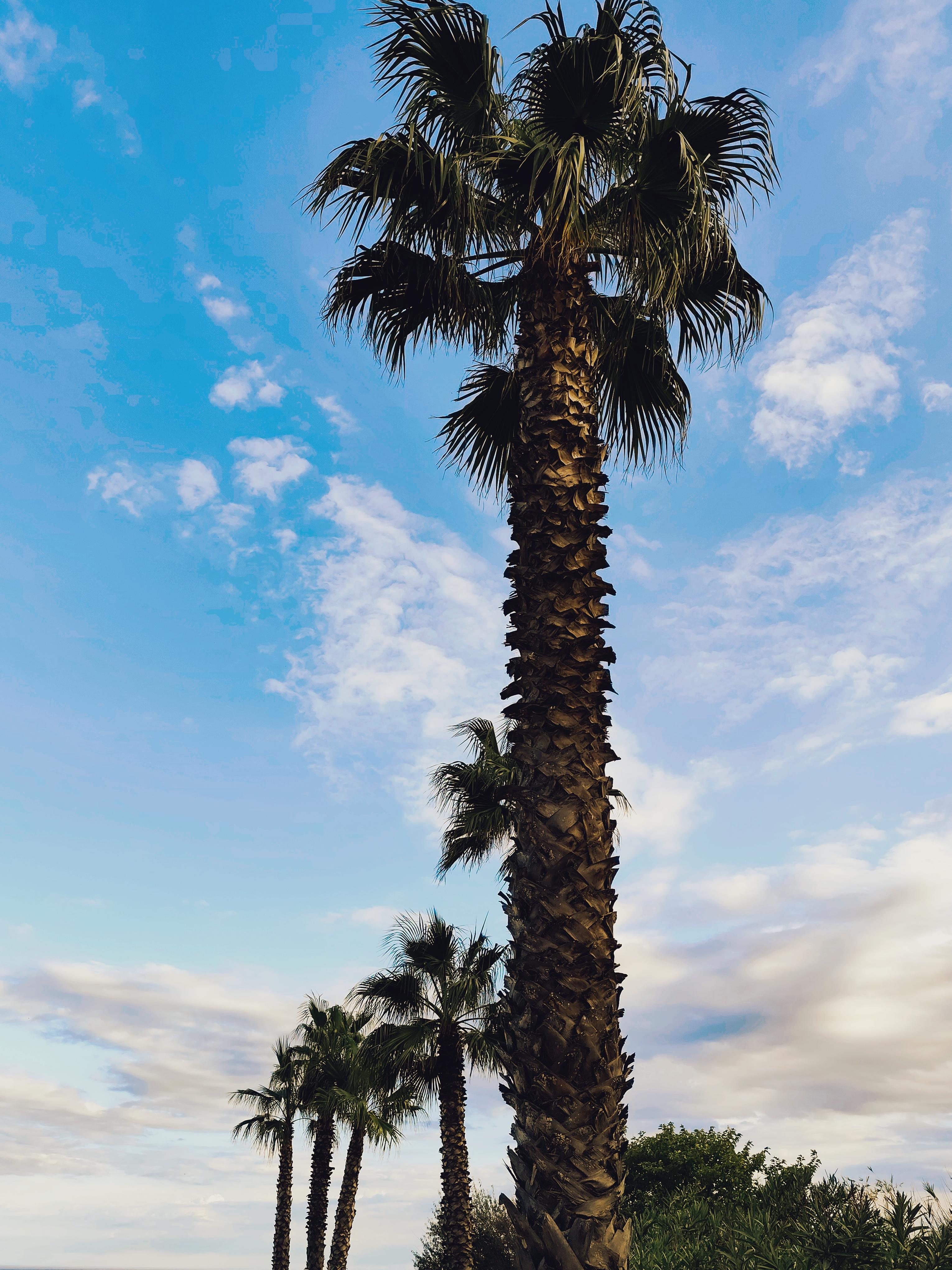 Minimalismo Fotografia (paesaggio)