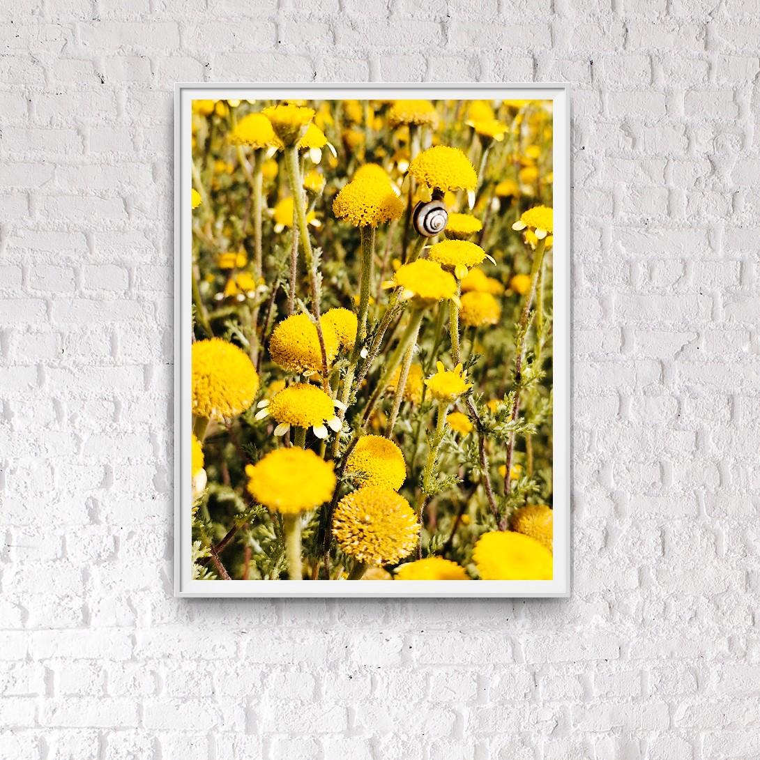 Foto floreale moderna su carta premium opaca 