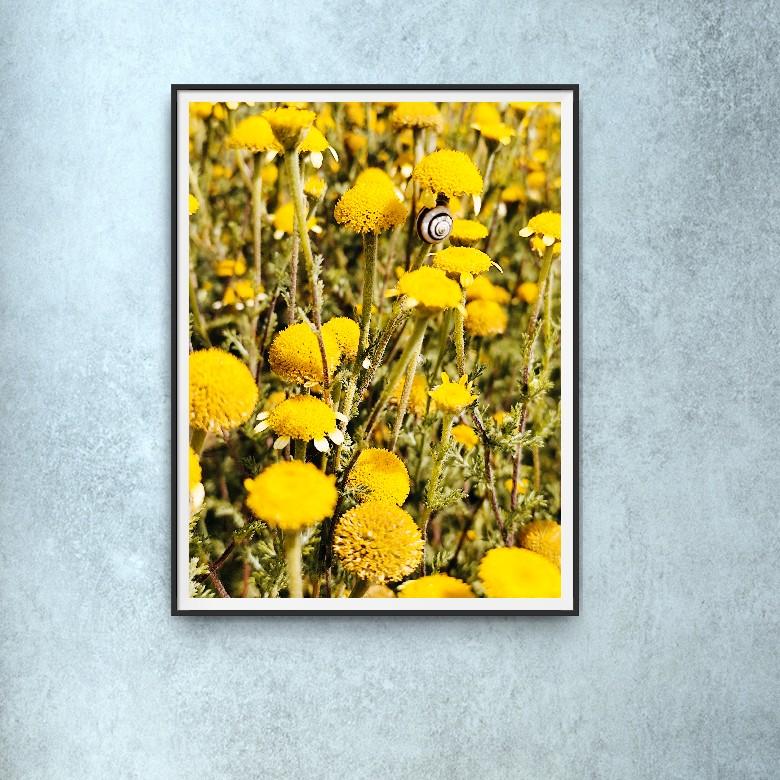 Foto floreale moderna su carta premium opaca 