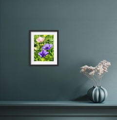 Modern Fine art photography floral premium matte paper "Purple spring flowers"