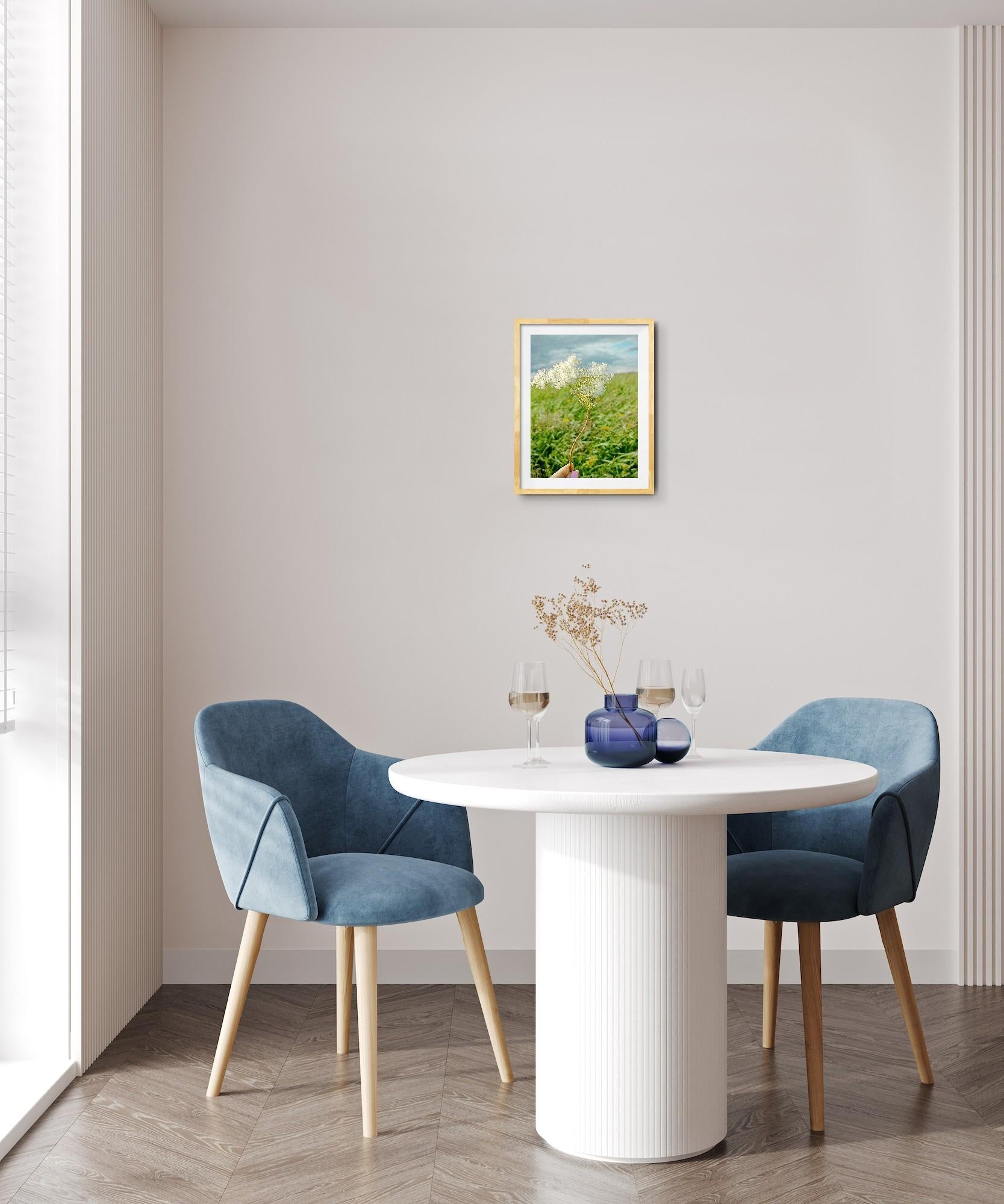 Moderne Kunstfotografie Natur Blumenwiese auf Premiumpapier 