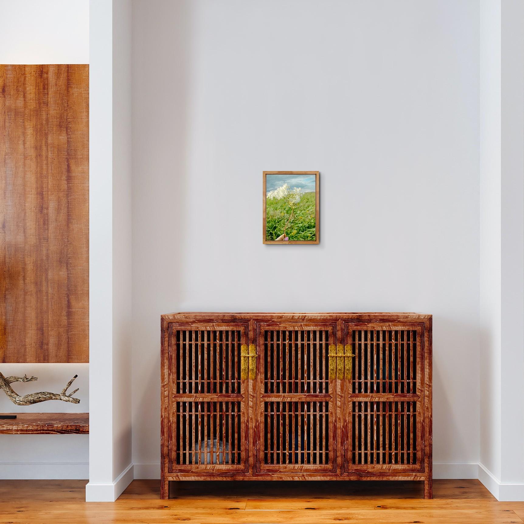 Moderne Kunstfotografie Natur Blumenwiese auf Premiumpapier 