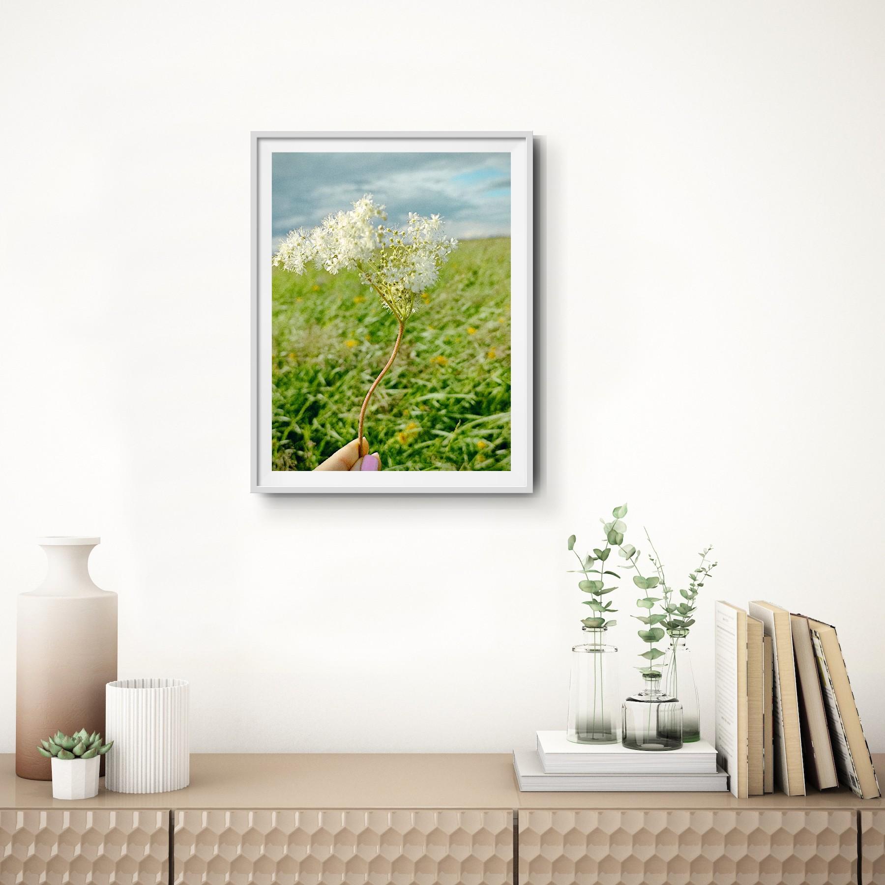Moderne Kunstfotografie Natur Blumenwiese auf Premiumpapier 