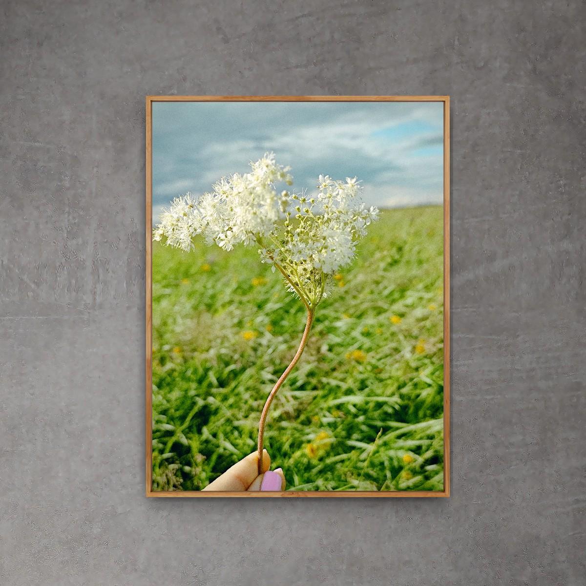 Moderne Kunstfotografie Natur Blumenwiese auf Premiumpapier 